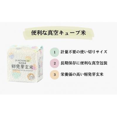 ふるさと納税 羽後町 あきたこまち 籾発芽玄米 真空キューブ米 300g×10個 合計3kg [No.5325-0258] |  | 02
