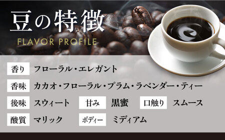 スペシャルティ コーヒー豆 自家焙煎 深煎り グアテマラ 200g×4 定期便6ヶ月【サードウェーブ ギフト プレゼント お中元 お歳暮】
