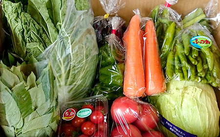 【定期便12ヶ月（2026年）】旬の野菜詰め合わせ