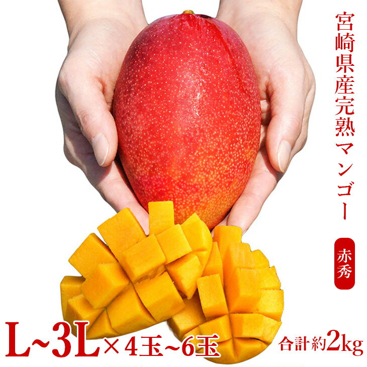【ふるさと納税】宮崎県産完熟マンゴー[赤秀] 合計約2kg（4～6玉）