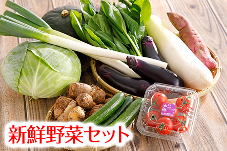 近江野菜詰め合せセット【1.5㎏～2㎏】【K002U】 野菜 野菜 野菜 野菜 野菜