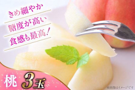 【2026年発送！先行予約！】ちっとばかしフルーツ3回定期便 桃 巨峰 シャインマスカット 【年3回】NS-1016