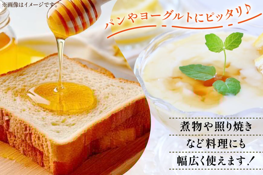 はちみつ 国産 そばハチミツ 500g [東養蜂場 青森県 おいらせ町 oi02ayo660004] ハチミツ 蜂蜜 そば蜂蜜 蕎麦