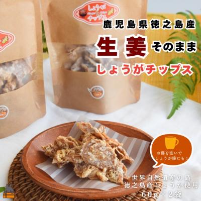 ふるさと納税 徳之島町 徳之島産生姜そのまま しょうがチップス(60g×2袋)