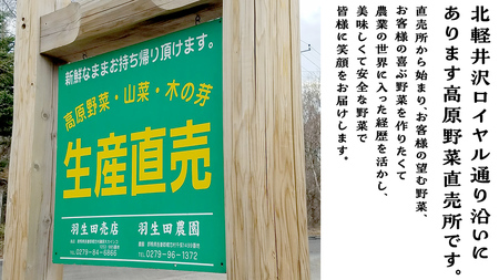 ゆめのコーン 5kg 約10～12本 とうもろこし トウモロコシ スイートコーン 野菜 産地直送 羽生田売店 期間限定 人気 朝採り お取り寄せ 通販 関東 群馬 [AL019tu]