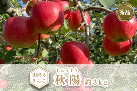 【2026年発送】「秀品」山形のりんご（秋陽）約3kg_H167(R8)-2