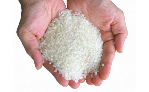 A-133 【生産者直送】佐賀県鹿島市産 さがびより　玄米３ｋｇ