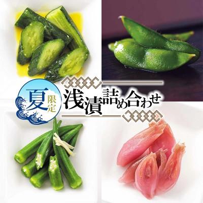 ふるさと納税 鶴岡市 夏限定!浅漬詰め合わせ[K-723]