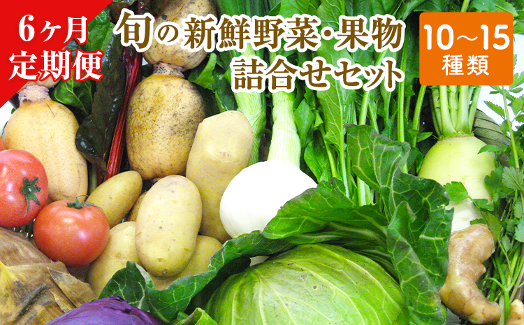 6ヶ月定期便 旬の新鮮野菜・果物詰合せセット(計6回お届け) たっぷり10-15品目 《お申込み月の翌月から出荷開始》 熊本県氷川町産 道の駅竜北