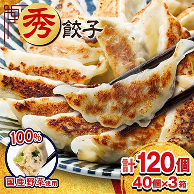 ふるさと納税 磐田市 秀餃子 120個(40×3箱)2.4kg 国産野菜と肉の新鮮さにこだわった本気のぎょうざ 国産 冷凍