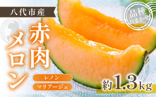 【先行予約】赤肉メロン（レノンまたはマリアージュメロン）約1.3kg 果物 くだもの 旬 ご褒美 季節の果物 【2026年6月中旬より順次発送】