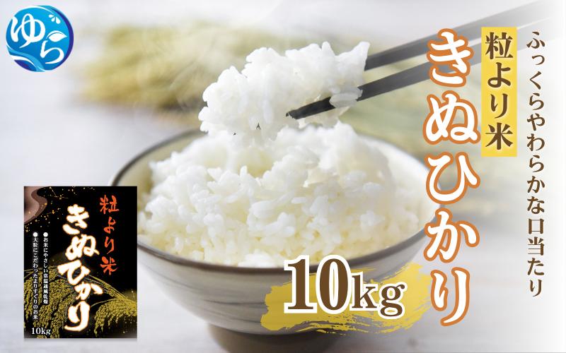
            令和6年度産 きぬひかり10kg ※お届け日指定不可※ / 白米 お米 キヌヒカリ 由良町 精米 和歌山【jahd009】
          