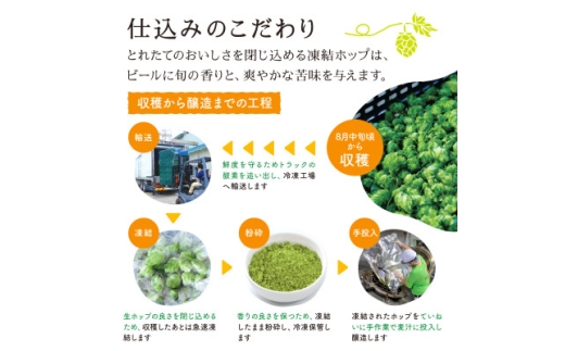 キリン 一番搾り とれたてホップ 生ビール 350ml×24本 2ケース＜複数個口で配送＞【4091263】