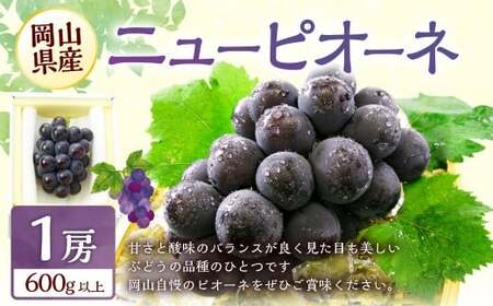 ぶどう 2026年 先行予約 ニュー ピオーネ 1房 600g以上 【2026年8月下旬～9月下旬 発送予定】 ブドウ 葡萄 岡山県産 国産 フルーツ 果物 ギフト 環山堂 くだもの お取り寄せ 贈り物 ギフト 国産