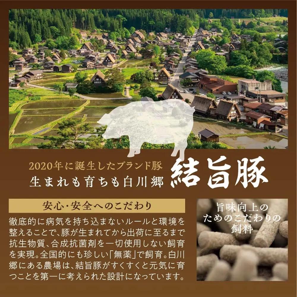 結旨豚 ロース とんかつ 500g×2パック 計1kg 冷凍真空パック | 肉 お肉 豚肉 国産 白川郷 岐阜県 白川村 ブランド豚 人気 おすすめ ギフト 11000円 飛騨高山ミート [MS007