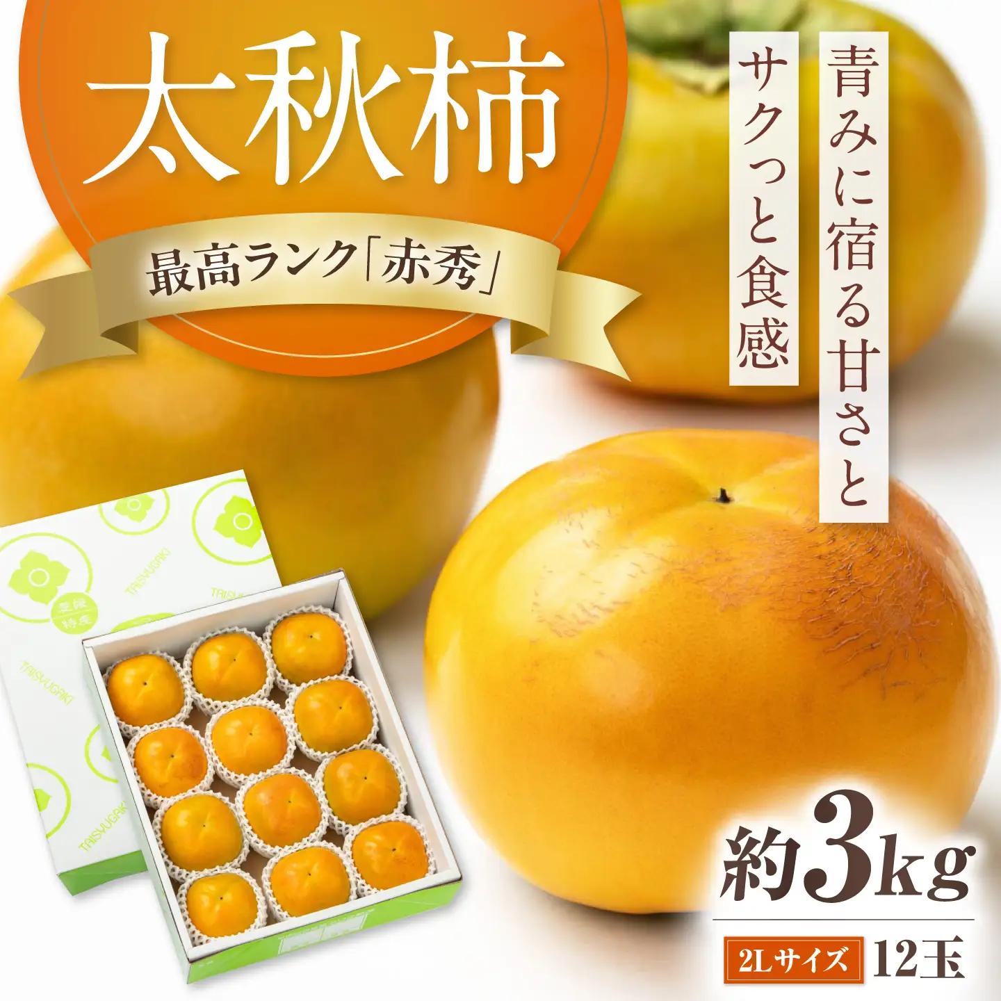 太秋柿 赤秀2Lサイズ約3kg（12玉入り）柿 フルーツ  BKAL004