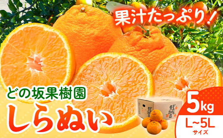 不知火 ( デコポン と同品種 ) しらぬい 約 5kg (L〜5Lサイズ) どの坂果樹園《2027年2月中旬-5月上旬頃出荷》 和歌山県 日高川町 しらぬい 不知火 デコポン でこぽん 旬 果物 フルーツ 柑橘 産地直送 送料無料st-p