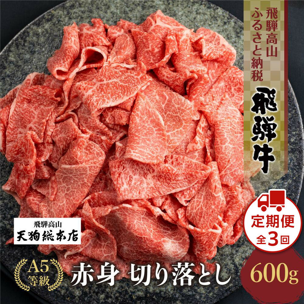 【ふるさと納税】A5等級 飛騨牛 切り落とし 600g【日付指定不可】| ブランド牛 牛肉 和牛 雌牛 A5等級 切落し 薄切り 天狗総本店 飛騨高山 BP027VP