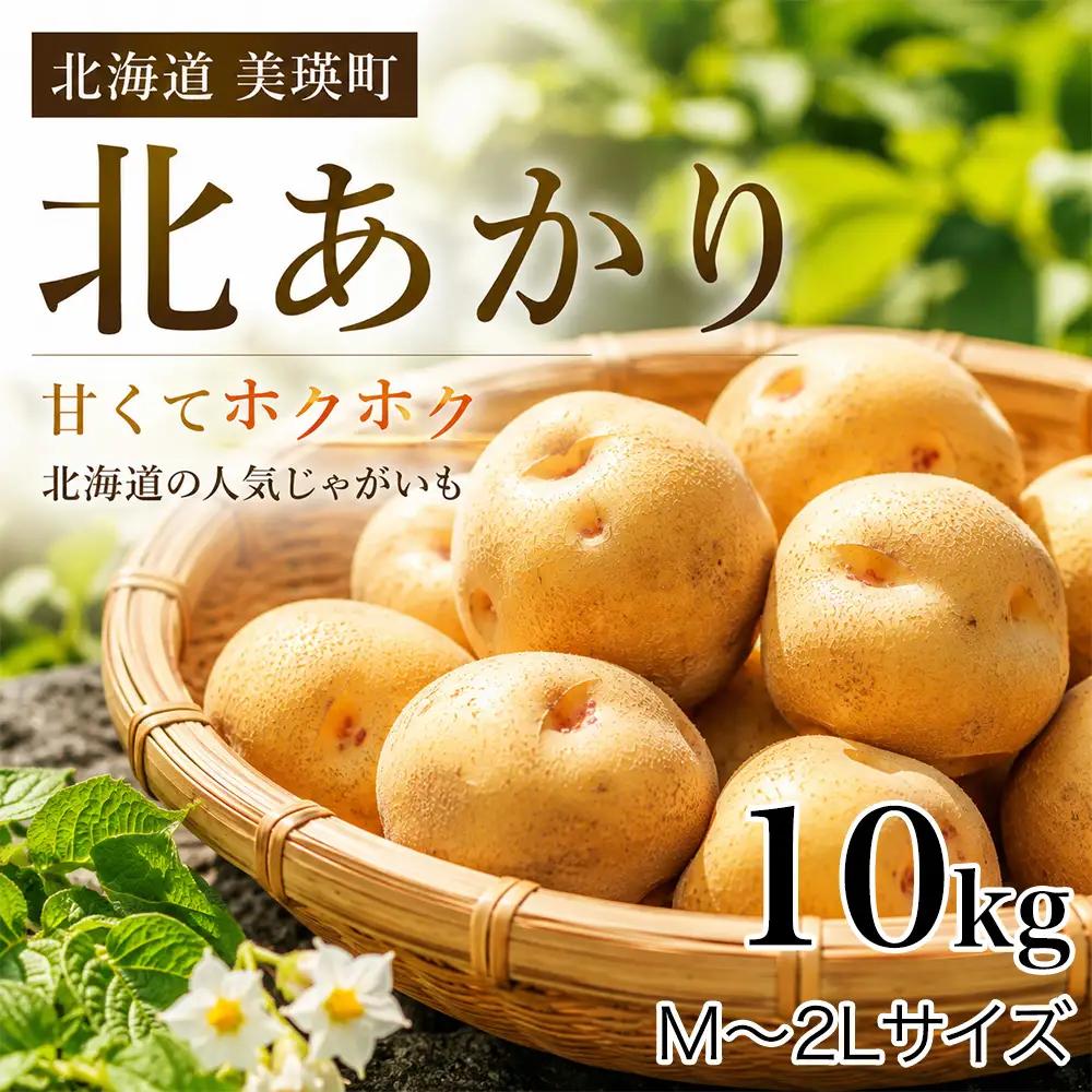 【先行予約】じゃがいも きたあかり 10kg ＜令和8年産＞ おおとり