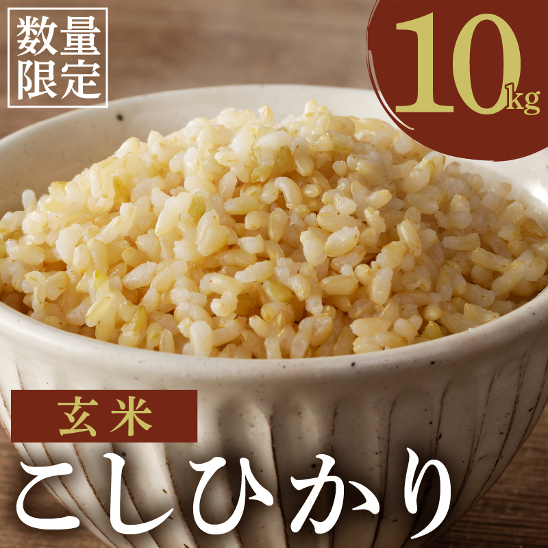 先行予約≪都農町産≫新米コシヒカリ(玄米)計10kg_T031-0045【米 お米 ご飯 国産 人気 ギフト 食品 こしひかり ライス ごはん 有洗米 送料無料 プレゼント】
