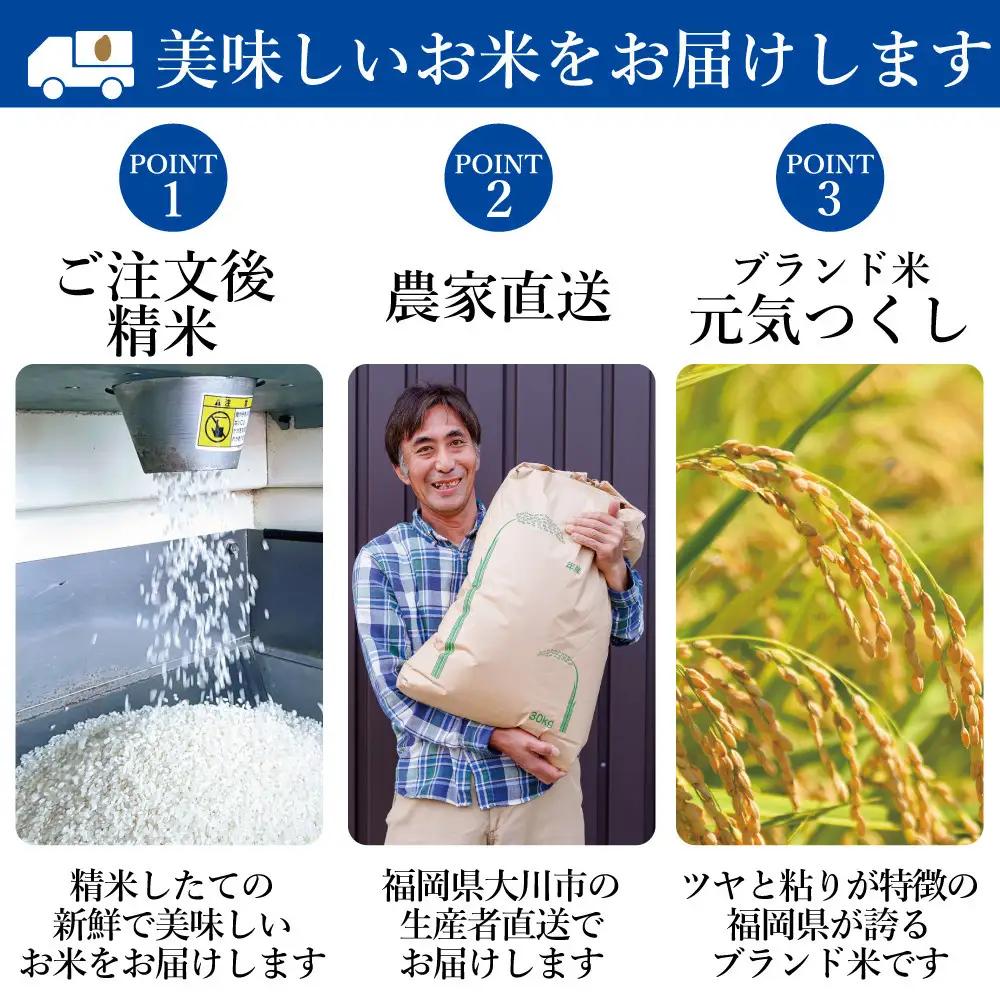 【先行予約】【2026年11月より順次発送】《令和8年産》福岡県大川市産 米 「 元気つくし 」 5kg×4個 計20kg | お米 米 こめ 精米 白米 ライス ブランド米 ごはん ご飯
