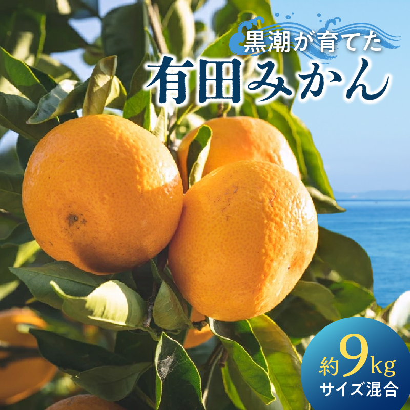 黒潮が育てた 有田みかん 約9kg (サイズ混合)_AE6110
