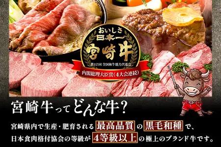 宮崎牛 ロース ステーキ 約500g（2枚入）×1P 冷凍｜国産 牛肉 4等級以上 黒毛和牛 肉 お肉 ブランド牛 鉄板焼き 高級 株式会社ミヤチク 宮崎県 諸塚村 MY-01