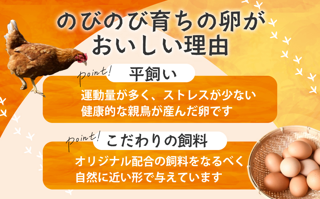 JK-04　【3ヶ月定期便】のびのび育ちの平飼い有精卵（30個×3ヶ月）_イメージ2