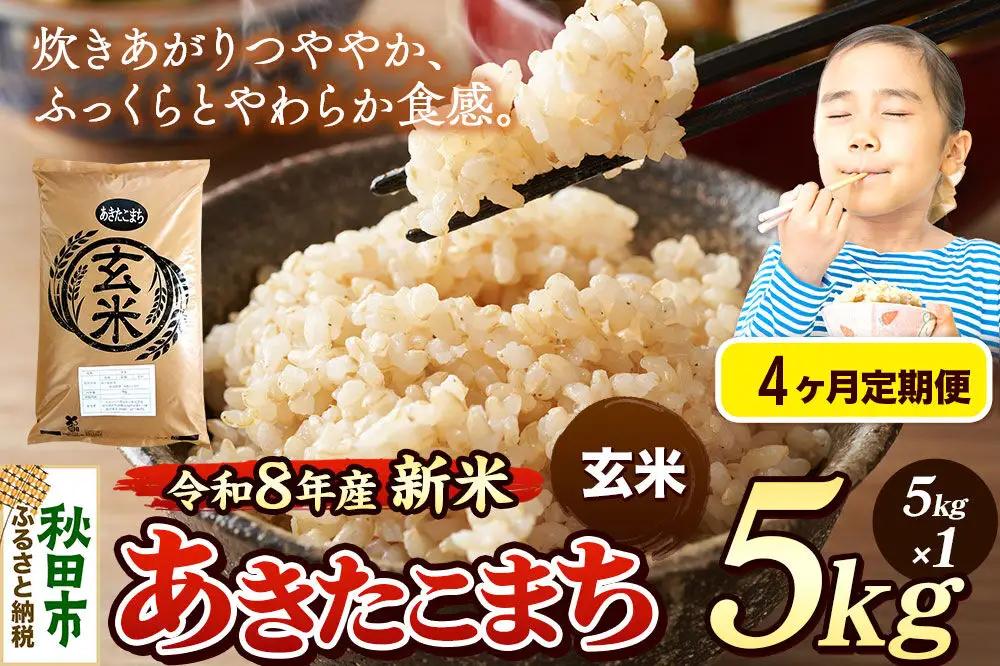 《令和8年産 新米受付》《定期便4ヶ月》米 あきたこまち 5kg【玄米】秋田県産