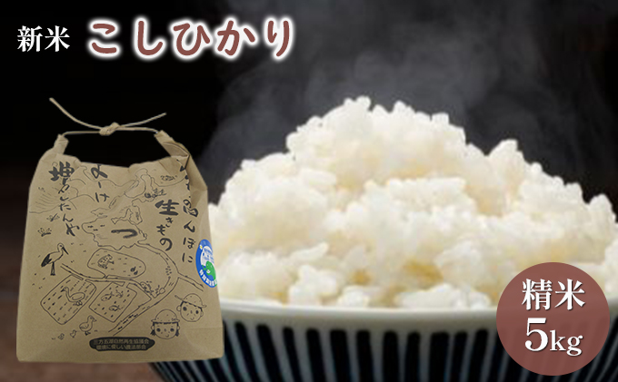 【先行予約】こしひかり5kg（令和7年度産）特別栽培米　若狭・天狗山農園 お米 代表 食感 精米 農薬 化学肥料 