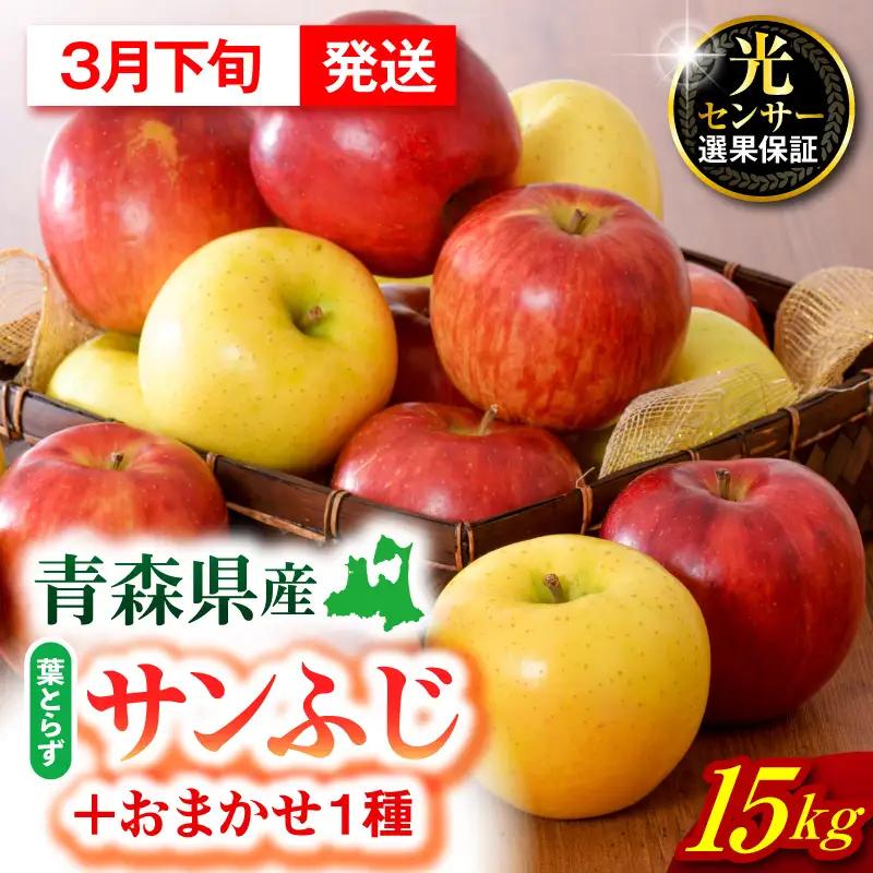 【2027年3月下旬発送】【訳あり】 りんご 15kg 詰め合わせ 計2種(サンふじ と 他1種) 家庭用りんご