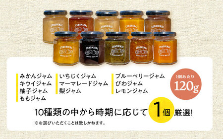CONOMINALギフトB【ドレッシング & びわバター & フルーツジャム の贅沢詰め合わせ10セット】＜アグリューム＞ [EAI027] / ジャム フルーツ 果肉 果物 バター ドレッシング ジ