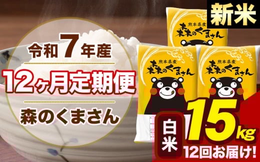 【12ヶ月定期便】令和7年産 新米 森のくまさん 白米 15kg 5kg×3袋 計12回お届け 《お申込み翌月から出荷》 お米 こめ 熊本県産 ご飯 備蓄