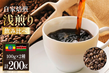 コーヒー豆 自家焙煎 浅煎り 100g 2種 計200g 飲み比べ セット シングルオリジン [フライヤーズ・カンパニー 北海道 砂川市 12260779]
