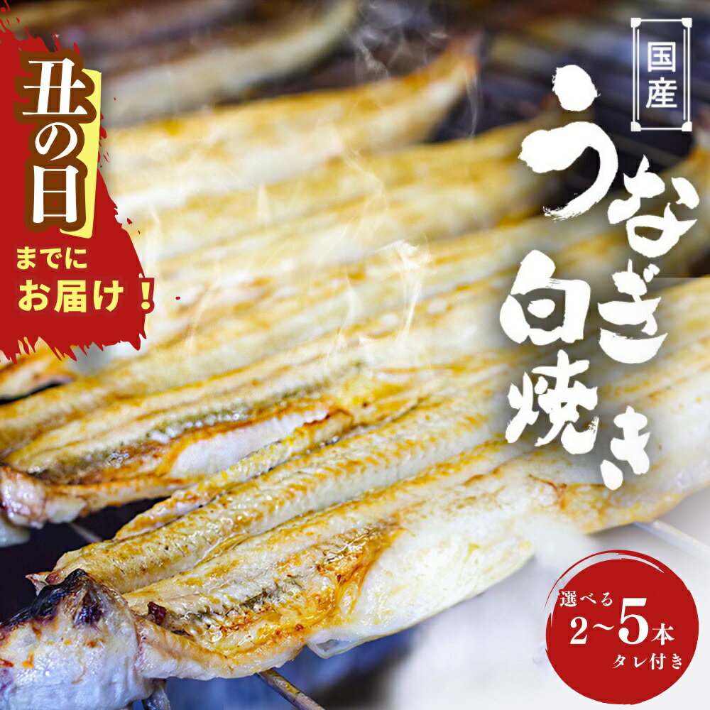 【ふるさと納税】 【土用の丑の日】限定 うなぎ 国産うなぎ白焼 / 和歌山 田辺市 国産 国産うなぎ 国産鰻 鰻 白焼 しら焼き 冷凍