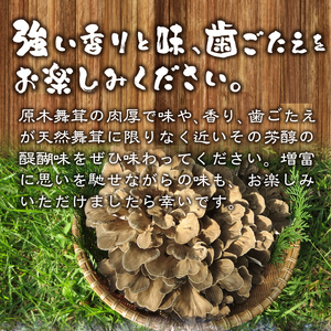 【令和8年産先行予約】 増富天空の舞茸　原木まいたけ　約1kg [h192]