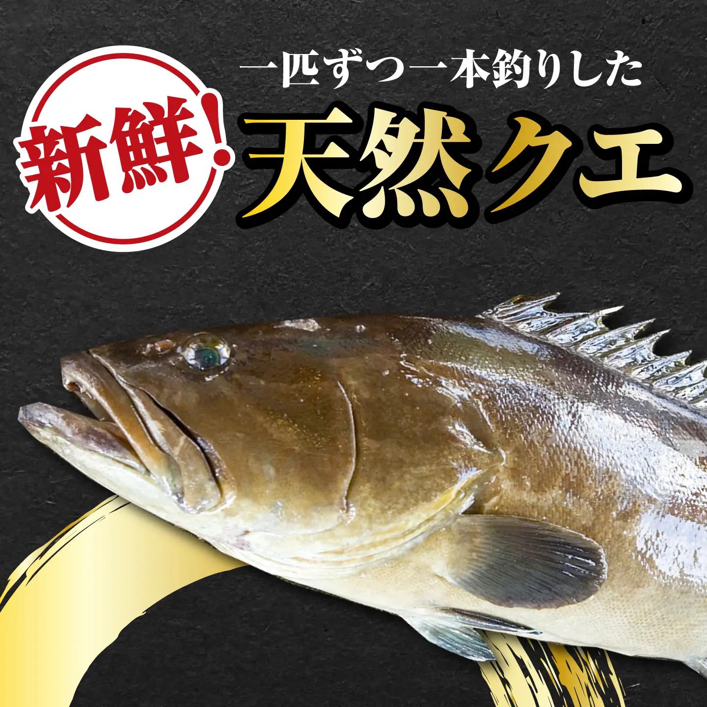 【 対馬産 】最高級 クエ 鍋 セット （ 4ー5人前 ） [WAB008] クエ くえ 鍋