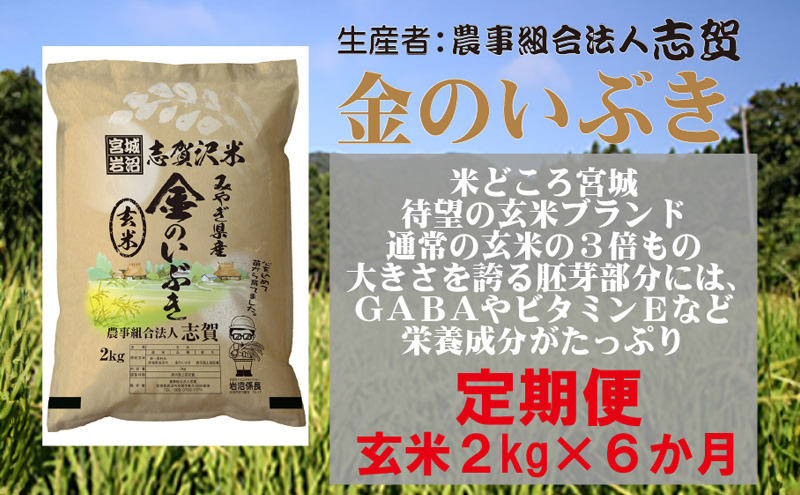 【令和7年産新米】玄米 定期便 6ヶ月 金のいぶき 2kg 志賀沢米 岩沼産 お米 ブランド米 2キロ こめ コメ ご飯 ライス 玄米ごはん 玄米ご飯 金のいぶき玄米 東北 宮城県産 米定期便 6回 半年 お楽しみ 宮城米 宮城 宮城県 岩沼市