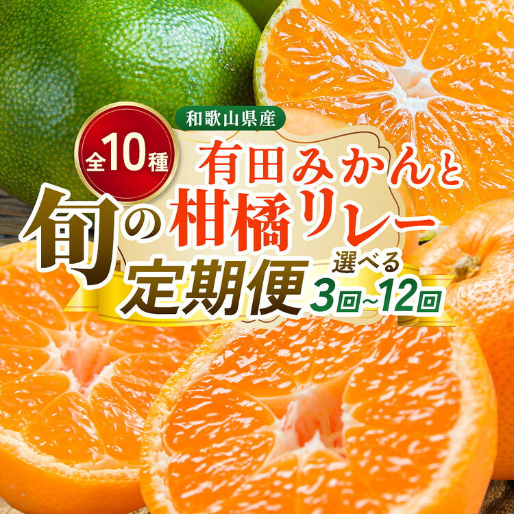 【ふるさと納税】【定期便】＼選べる回数／柑橘定期便 S※北海道・沖縄・離島への配送不可