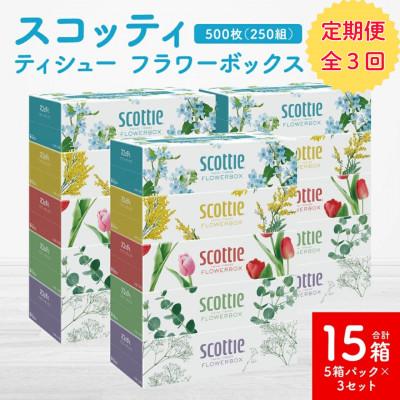 ふるさと納税 八代市 【毎月定期便】【スコッティ】ティシュー フラワーボックス 250組(5箱パック×3 計15箱)全3回