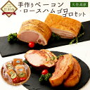 【ふるさと納税】久住高原 手作りベーコン・ロースハムゴロゴロセット ベーコン ロースハム ブロック 手作り 塩分控えめ 各300g×2個ずつ 詰め合わせ ギフト 九州産 大分県産 冷蔵 送料無料