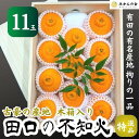 【ふるさと納税】古豪の産地 田口の不知火 11玉木箱入 特選品 産地直送 贈答用 数量限定 【みかんの会】 | みかん 不知火 柑橘 和歌山 蜜柑 しらぬい 柑橘類 和歌山県産 贈り物 数量限定 ギフト 産地直送 特選品 フルーツ ふるさと納税 返礼品 故郷納税