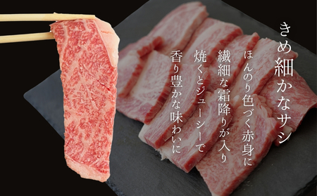 広島牛 黒毛和牛 A5ランク カルビ 焼肉 500g【牛肉 お肉 カルビ バラ ロース やきにく 和牛 BBQ 霜降り 最高品質 肉質 脂質】