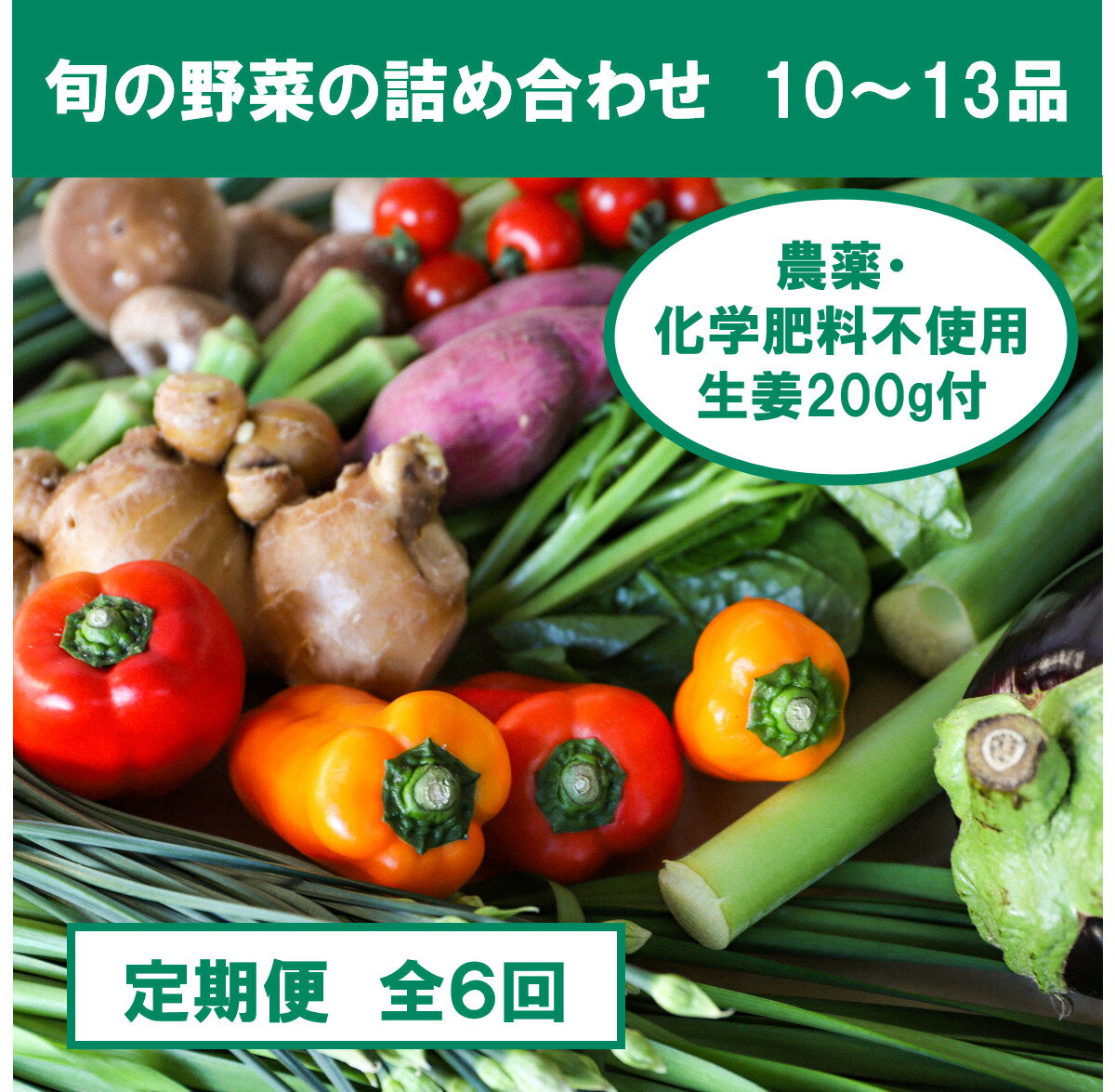【ふるさと納税】『定期便全6回』栽培期間中に農薬不使用の生姜200gと旬の野菜詰め合わせ10～13品目 野菜 野菜セット 詰め合わせ しょうが ショウガ 旬 春 新鮮 朝どれ 取り寄せ 定期便 定期コース 6ヶ月 高知県産 ふるさとのうぜい 故郷納税 72000円 高知県 返礼品