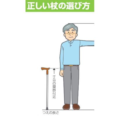 ふるさと納税 北名古屋市 国産アルミ製　T字杖　TY125L |  | 03