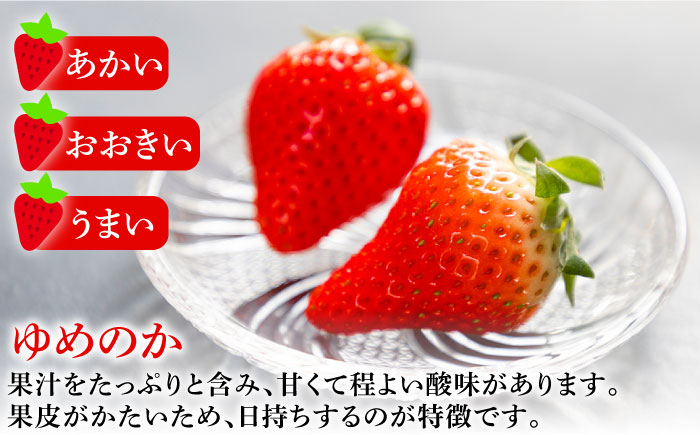 【先行予約受付中】【全3回定期便】《R6年2月～4月出荷》いちご イチゴ 苺 ゆめのか 恋みのり 計 1kg「ゆめ恋セット」 （250g × 4パック）《壱岐市》【蒼花】 [JEO003] 39000