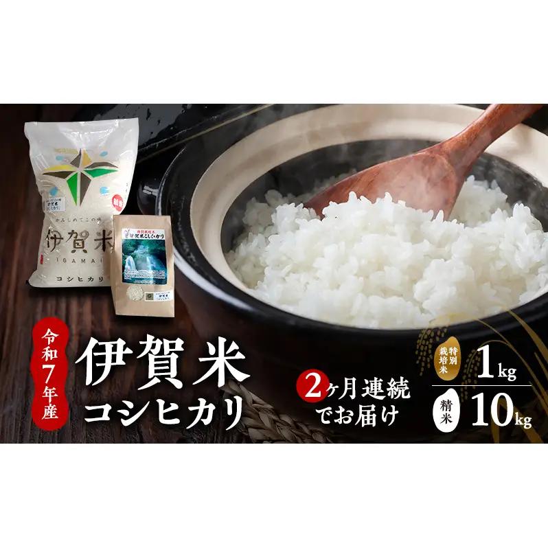 【精米】令和7年産　伊賀米コシヒカリ　10kg+特別米1kg（２ヶ月連続）　お米 米 白米 こしひかり ごはん 三重県 名張市