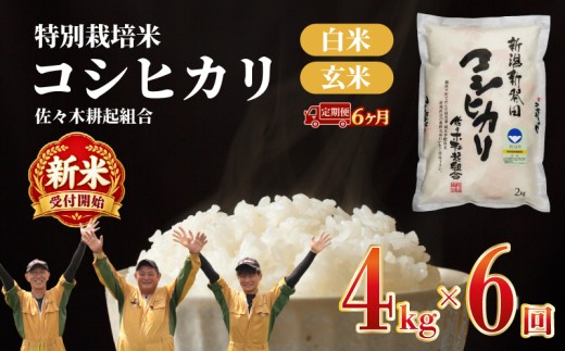 【新米 定期便】 4kg × 6ヶ月 令和8年産 新潟県新発田産 特別栽培米コシヒカリ 選べる お届け開始時期 米 お米 ごはん 白米 コシヒカリ 佐々木耕起組合 プレゼント ギフト 贈答 定期便 特別栽培米  佐々木耕起 佐々木こうき 新潟県 新潟産 新発田産 ssk006