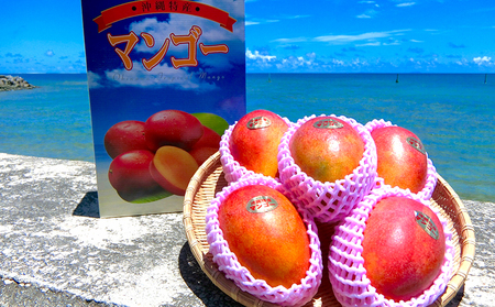 【2024年発送】久米島印商店 完熟マンゴー 2kg