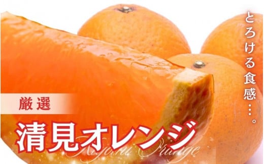 ＜2月より発送＞厳選 清見オレンジ 7.5kg+250g（傷み補償分）【光センサー食頃出荷】【樹上完熟きよみオレンジ・清見タンゴール・清美】/ 和歌山 みかん オレンジ きよみオレンジ おすすめ フルーツ 果物 柑橘 ふるーつ くだもの【ikd197B】